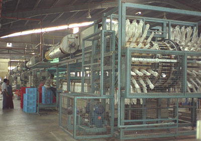 Surgical gloves 2025 factory